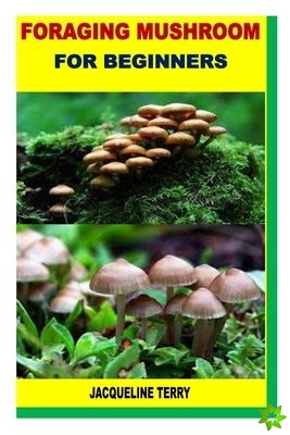 Foraging Mushroom for Beginners