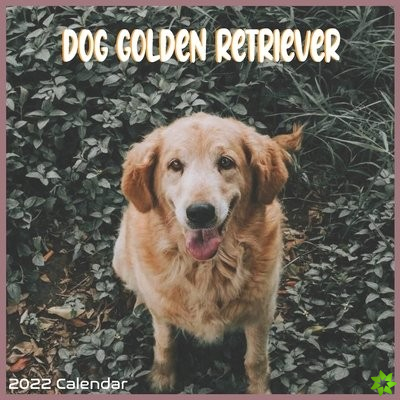 Golden Retriever Dog Calendar 2022
