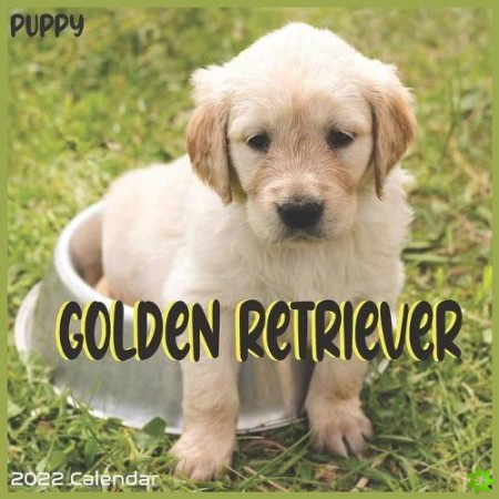 Golden Retriever Puppy Calendar 2022
