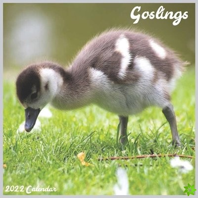 Goslings 2022 Calendar