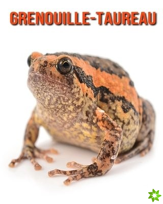 Grenouille-Taureau