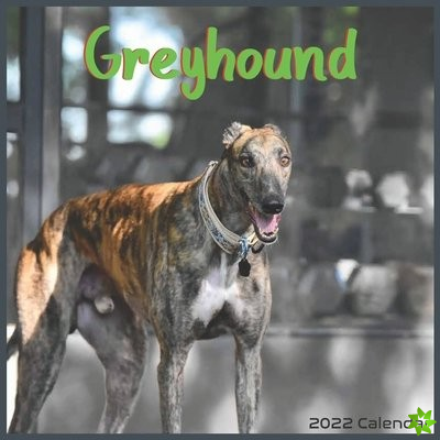 Greyhound calendar 2022