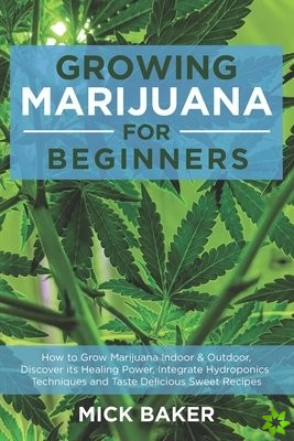 Growing Marijuana for Beginners