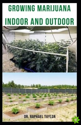 Growing Marijuana Indoor and Outdoor