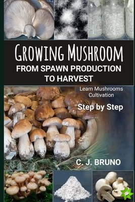 Growing Mushroom From Spawn Production to Harvest