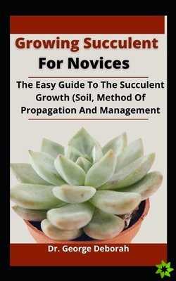 Growing Succulent For Novices