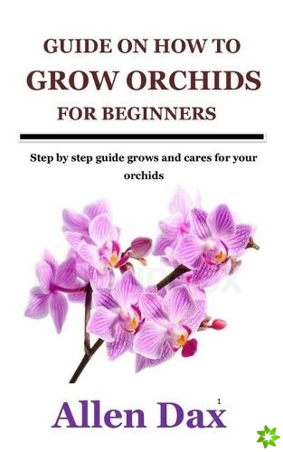Guide on How to Grow Orchids for Beginners