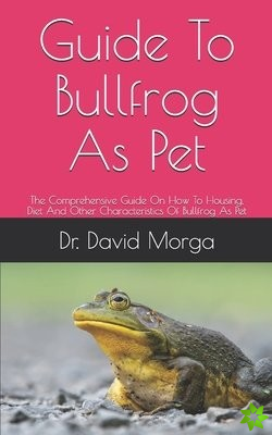 Guide To Bullfrog As Pet