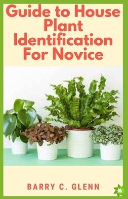 Guide to House Plants Identification For Novice