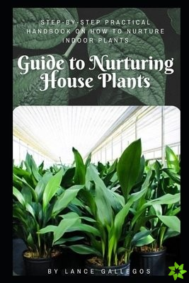 Guide to Nurturing House Plants