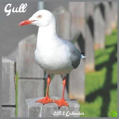 Gull 2022 Calendar