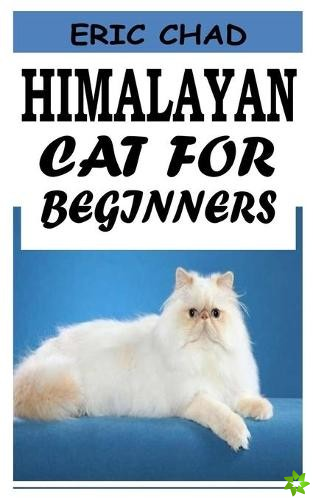 Himalayan Cat for Beginners
