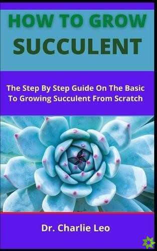 How To Grow Succulent
