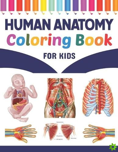 Human Anatomy Coloring Book For Kids