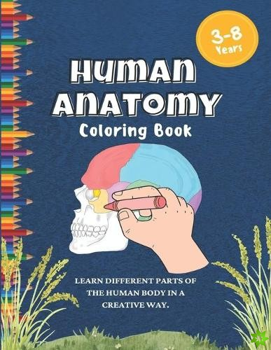 Human Anatomy coloring book