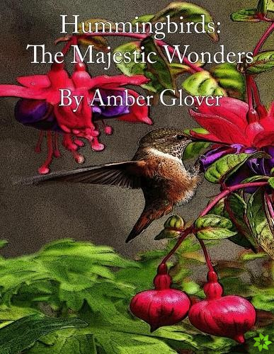 Hummingbird; The Majestic Wonders