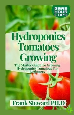 Hydroponics Tomatoes Growing