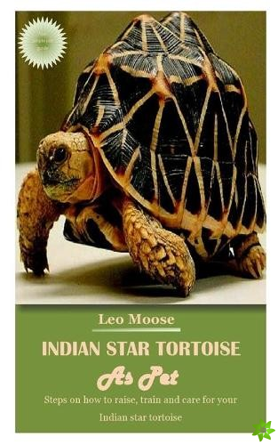 Indian Star Tortoise as Pet
