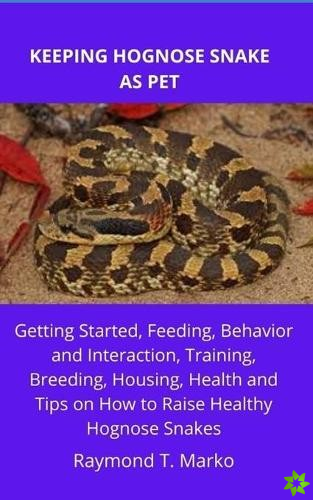 Keeping Hognose Snake as Pet