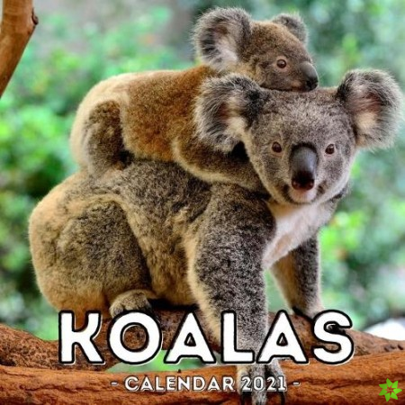 Koalas Calendar 2021
