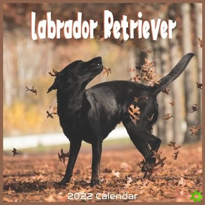 Labrador Retriever 2022 Calendar