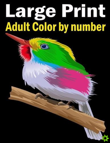 Large Print Adult Color by number