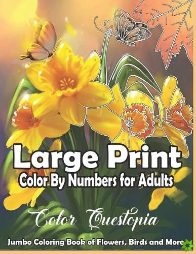Large Print Color By Numbers for Adults
