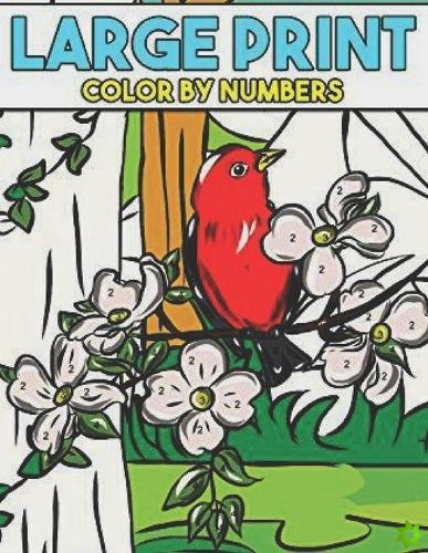 Large Print Color By Numbers