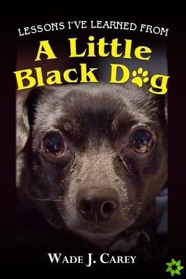 Lessons I've Learned From A Little Black Dog