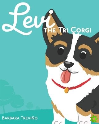 Levi the Tri Corgi