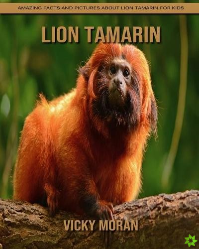Lion Tamarin