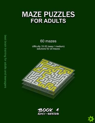 Maze Puzzles for Adults