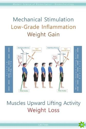 Mechanical Stimulation Low-Grade Inflammation Weight Gain