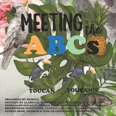 Meeting the ABCs
