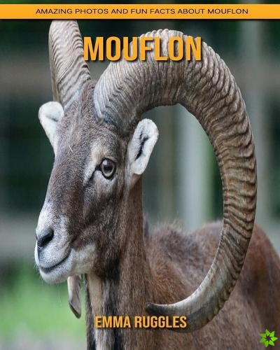 Mouflon