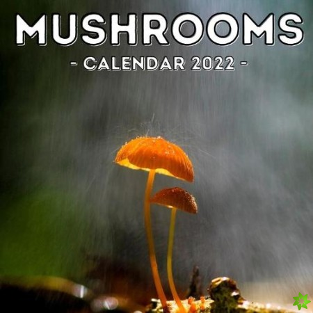 Mushrooms Calendar 2022