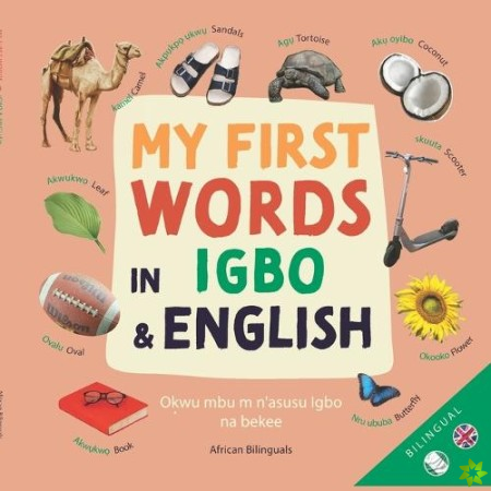 MY First Words In Igbo and English