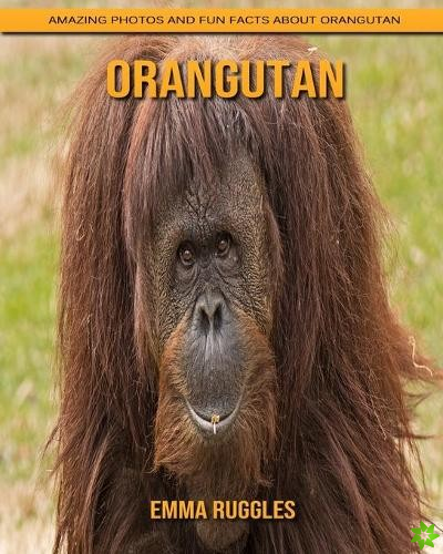 Orangutan