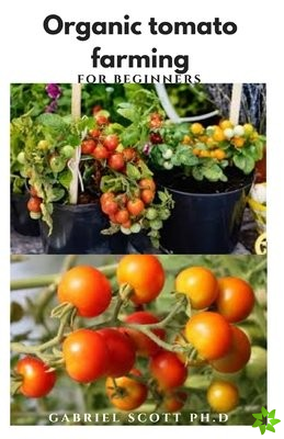 Organic Tomato Farming for Beginners