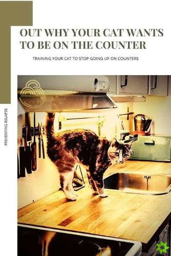 OUT WHY YOUR CAT WANTS tо BE ON thе COUNTER