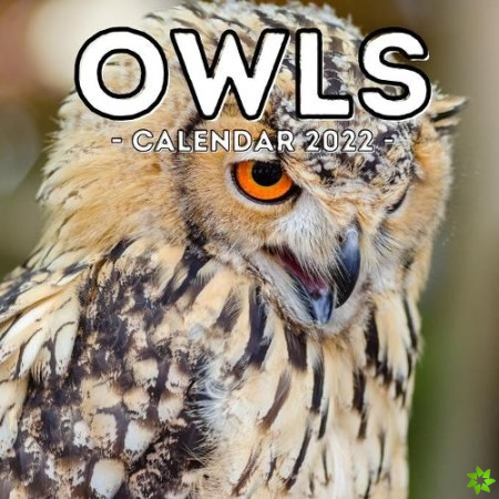 Owls Calendar 2022