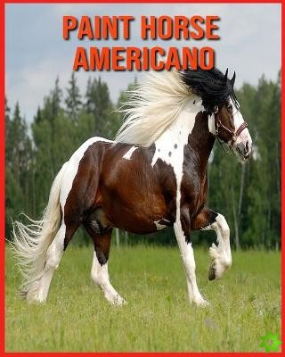 Paint Horse Americano