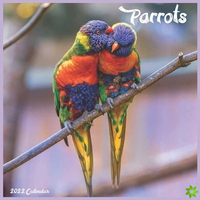 Parrots Calendar 2022