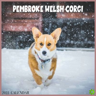 Pembroke Welsh Corgi 2022 Calendar
