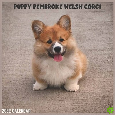 Pembroke Welsh Corgi Puppy 2022 Calendar