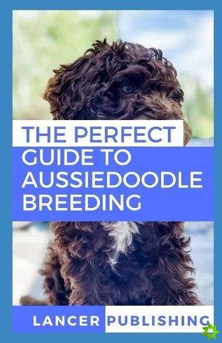 Perfect Guide To Aussiedoodle breeding
