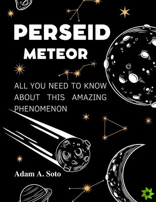 Perseid Meteor