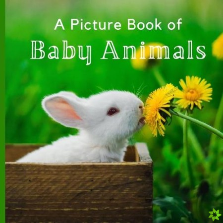 Picture Book of Baby Animals