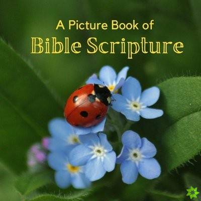 Picture Book of Bible Scripture