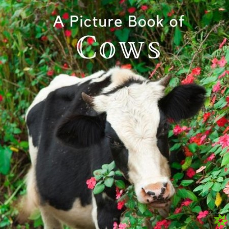 Picture Book of Cows